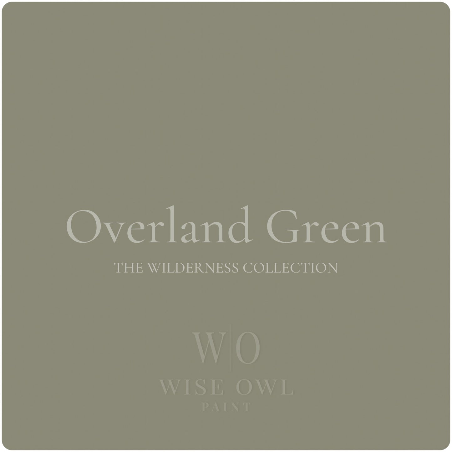 Wise Owl One Hour Enamel - Overland Green