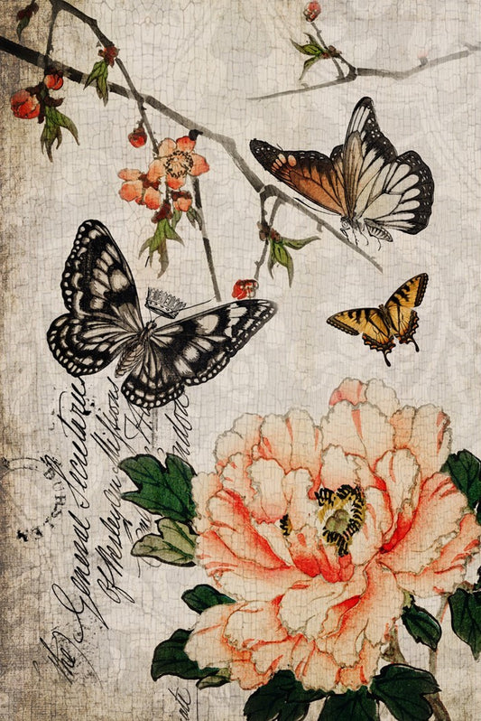 Butterfly Floral - Roycycled Decoupage Paper