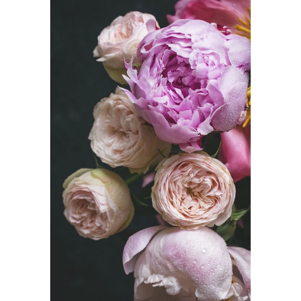 Moody Floral II - Mint by Michelle