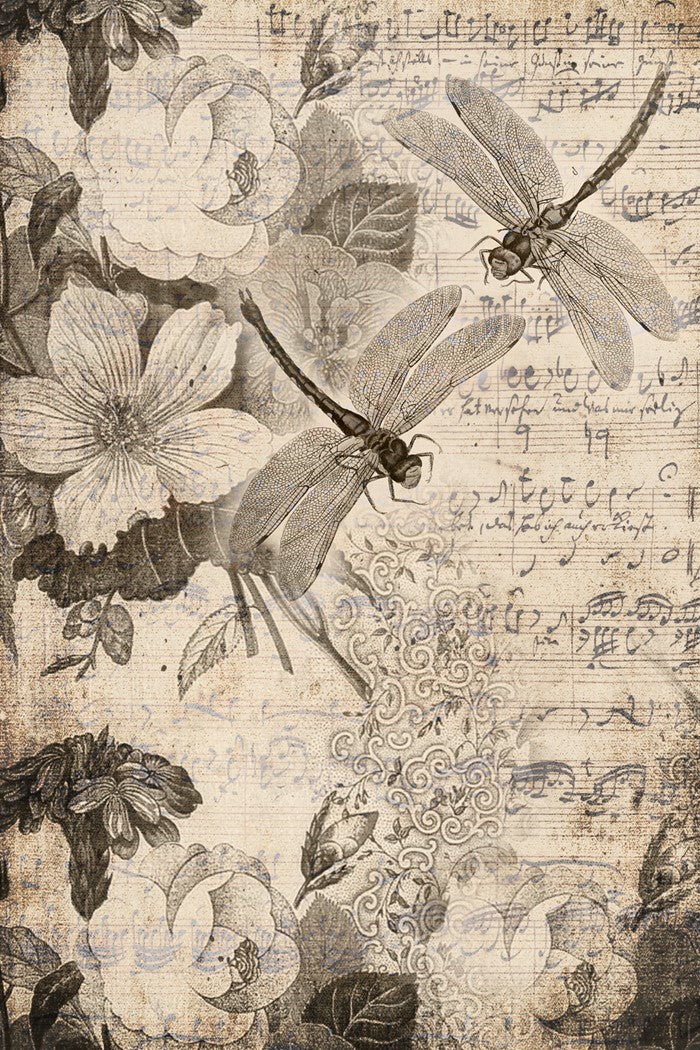 Musical Dragonflies - Roycycled Decoupage Paper