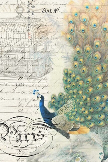 Peacock Ephemera Right - Roycycled Decoupage Paper