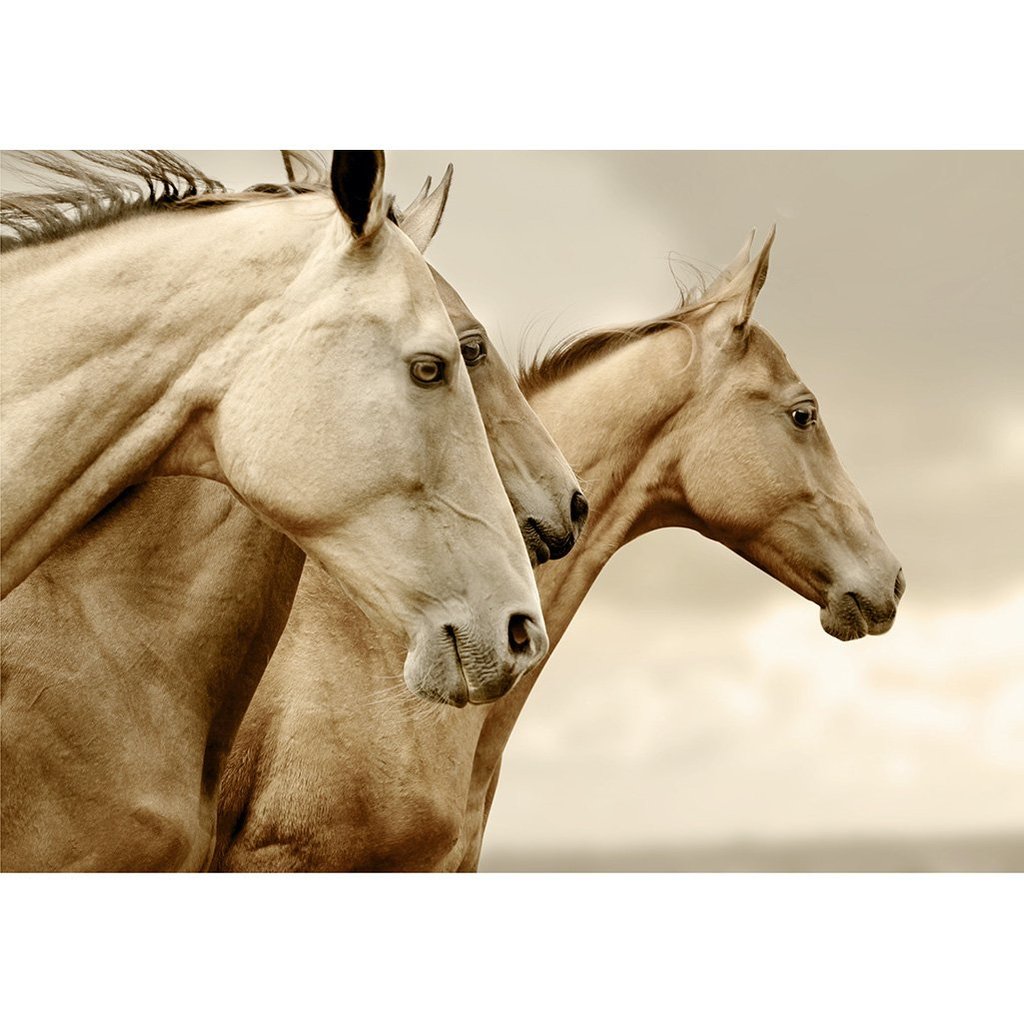Sepia Horses - Mint by Michelle