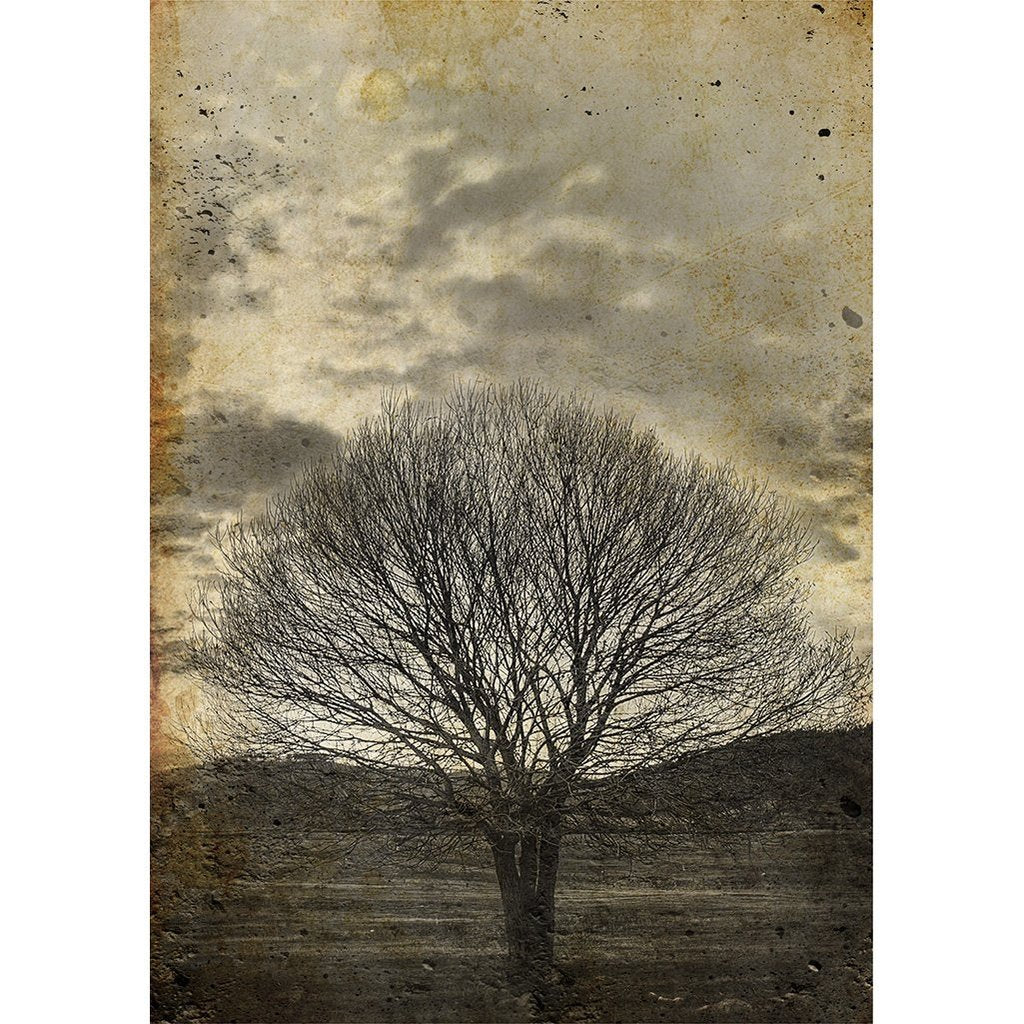 Sepia Tree - Mint by Michelle
