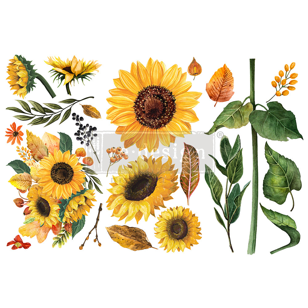 Sunflower Afternoon - Redesign Decor Transfers