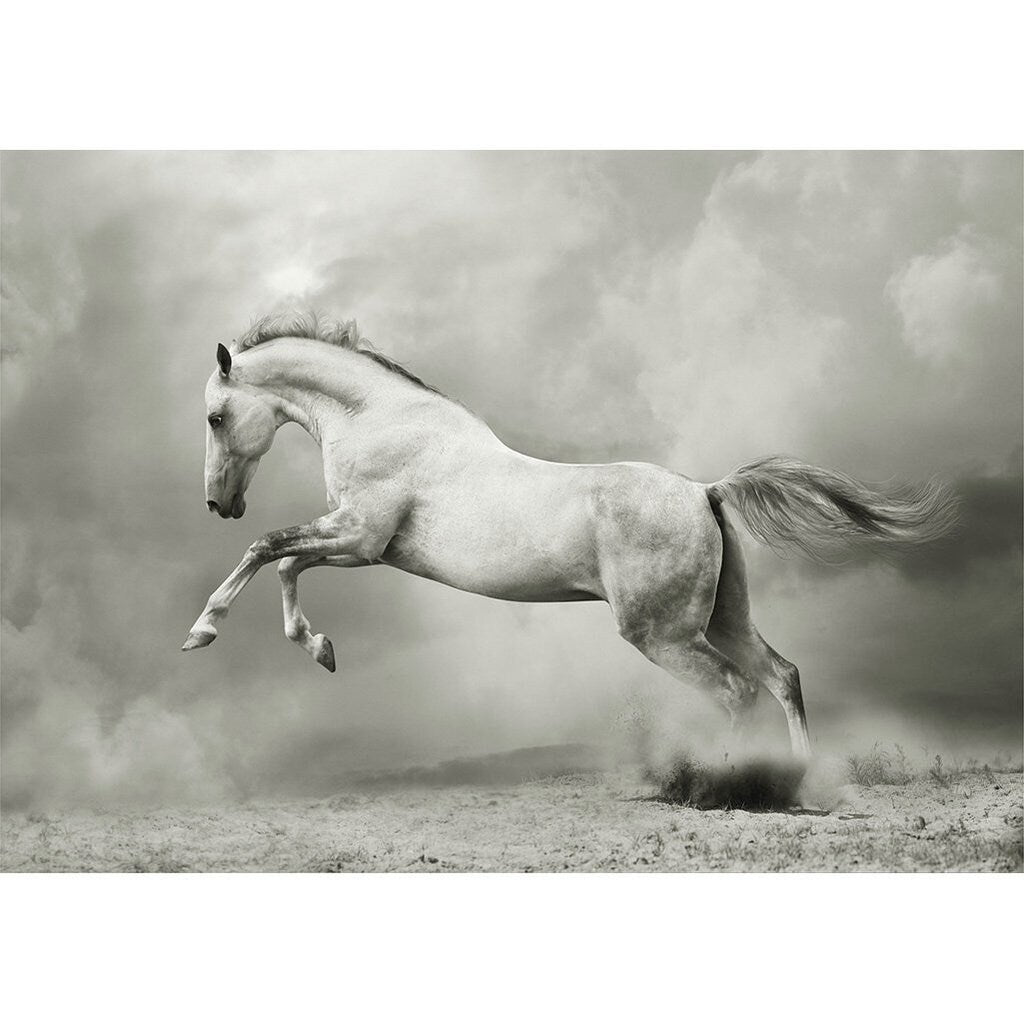 Mint by Michelle Decoupage Paper - White Horse