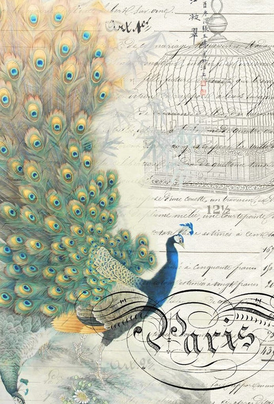 Peacock Ephemera Left - Roycycled Decoupage Paper