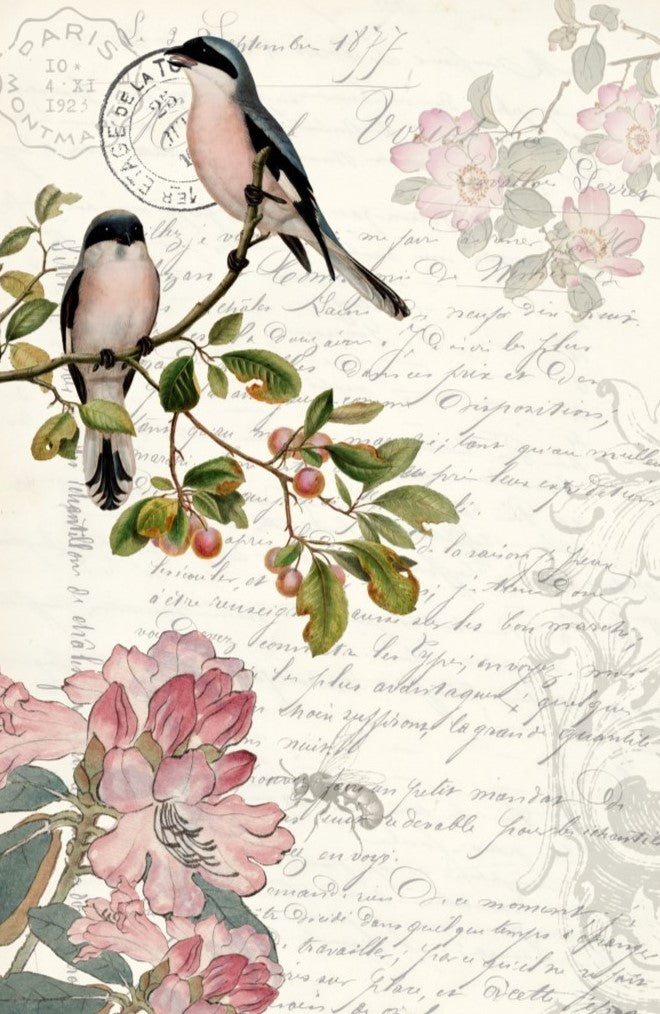 Spring Bird - Roycycled Decoupage Paper